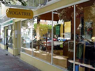 Yoga Tree Studio Hayes Valley